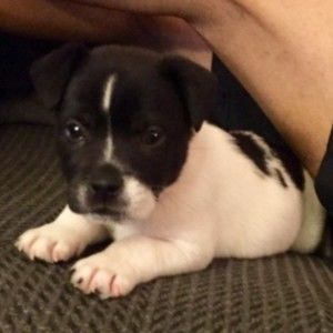 Meet your Posher, Brodric